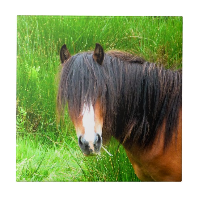 AZULEJO DE CERÂMICA  CAVALOS (Frente)