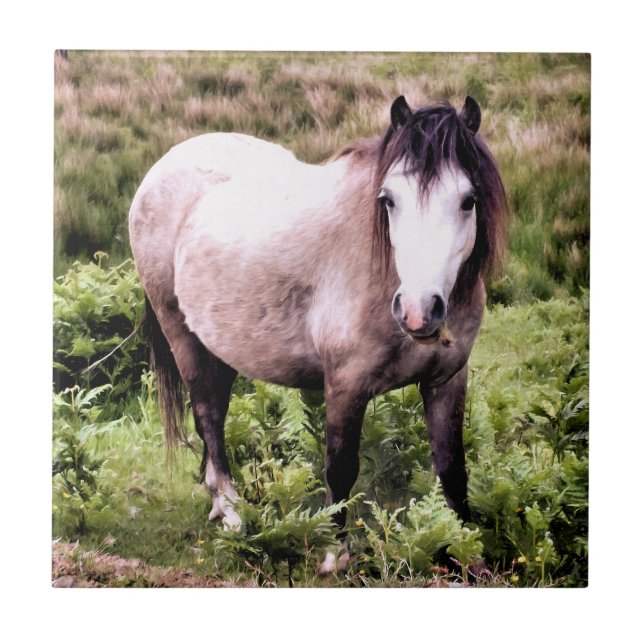 AZULEJO DE CERÂMICA  CAVALOS (Frente)
