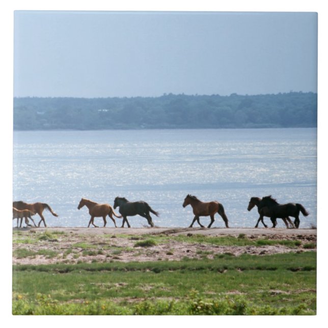 Azulejo De Cerâmica Cavalos (Frente)