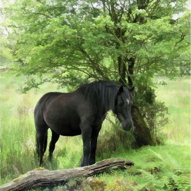 AZULEJO DE CERÂMICA  CAVALOS (A beautiful black mare resting in the shade of the tree.)