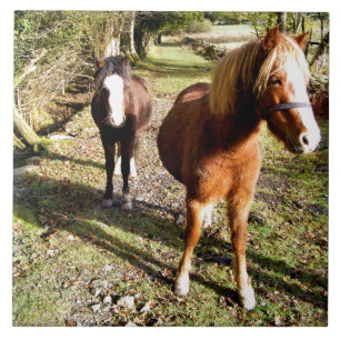 AZULEJO DE CERÂMICA  CAVALOS