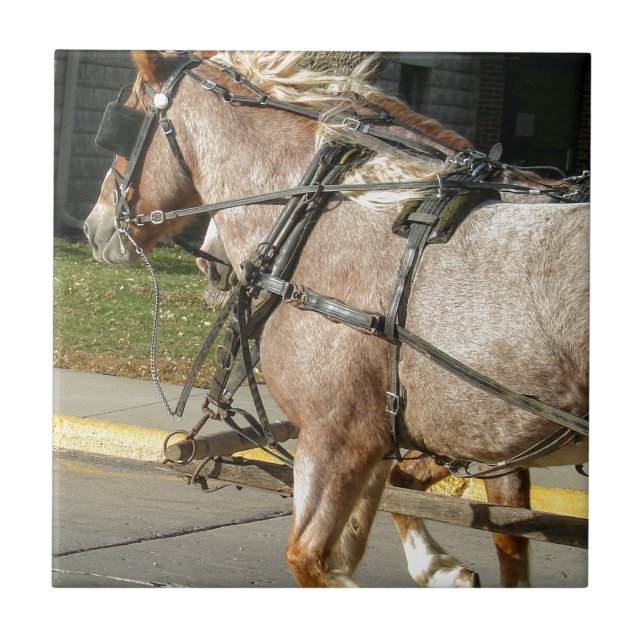 Azulejo De Cerâmica Cavalos bonito (Frente)