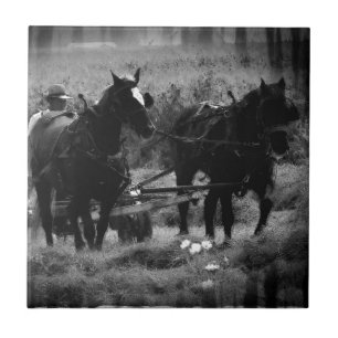Azulejo De Cerâmica Cavalos de Amish no Hay Field Working