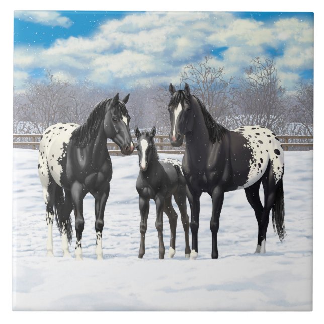 Azulejo De Cerâmica Cavalos de Appaloosa Pretos Na Neve (Frente)
