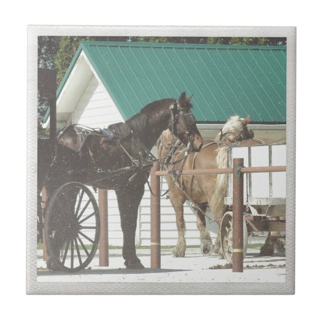 Azulejo De Cerâmica Cavalos de Kalona Amish (Frente)