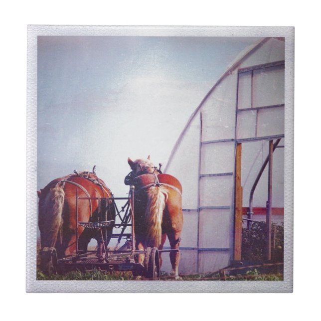 Azulejo De Cerâmica Cavalos De Rascunho Prontos Para Trabalho (Frente)