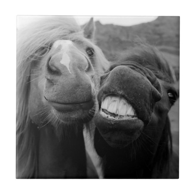 Azulejo De Cerâmica Cavalos de sorriso das imagens | de Getty (Frente)