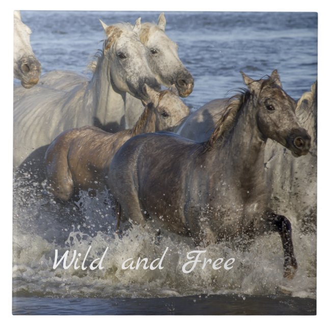 Azulejo De Cerâmica Cavalos galopando na água (Frente)