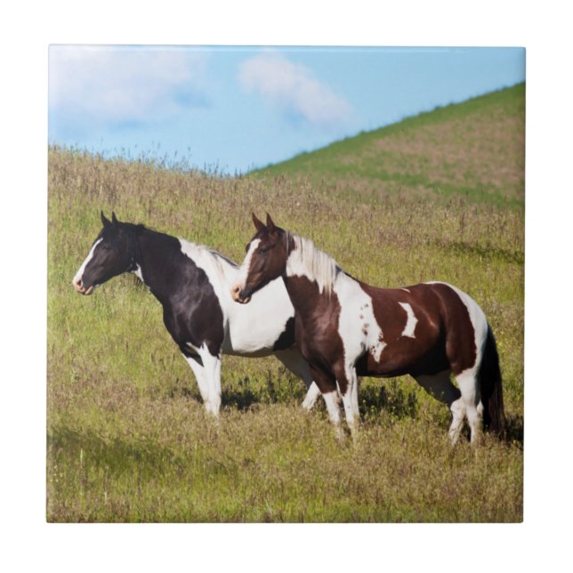 Azulejo De Cerâmica Cavalos na encosta da colina (Frente)