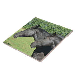 Azulejo De Cerâmica Cavalos Pretos em Campo Iluminado pelo Sol