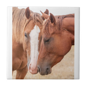Azulejo De Cerâmica Cavalos que se infundem numa pastagem