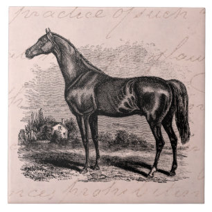 Azulejo De Cerâmica Cavalos retros do puro-sangue do cavalo de raça