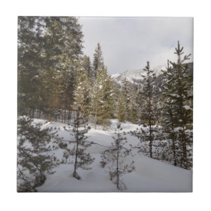 Azulejo De Cerâmica Cena da Montanha Snowy de inverno em Montana