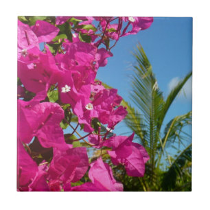 Azulejo De Cerâmica Cena da Natureza Tropical de Bougainvillea e Palm