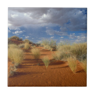 Azulejo De Cerâmica Cena do Deserto do Kalahari, Kgalagadi Transfronte