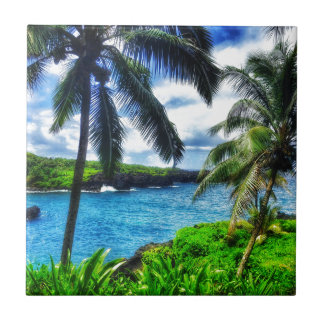 Azulejo De Cerâmica Cena do Hawaiian IMG_1122 4