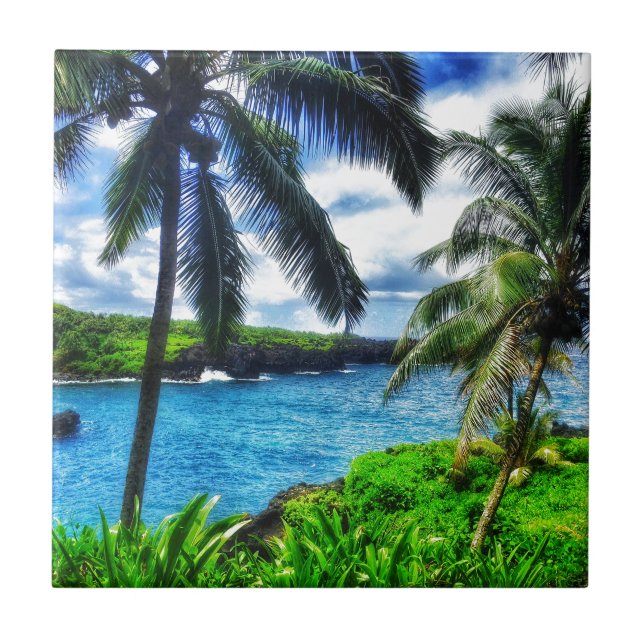 Azulejo De Cerâmica Cena do Hawaiian IMG_1122 4 (Frente)