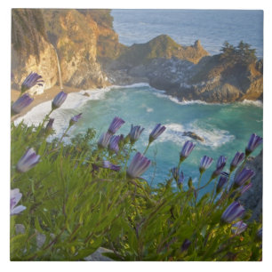 Azulejo De Cerâmica Cenário de McWay Falls deságua na praia e