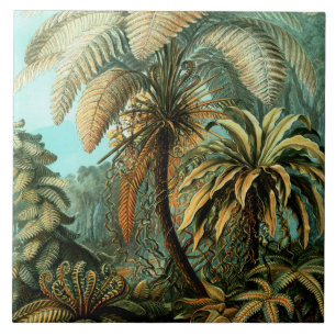 Azulejo De Cerâmica Cenário tropical com palmeira