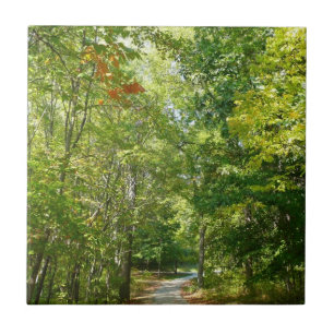 Azulejo De Cerâmica Centenário Caminho Wooded I Natureza da Cidade Ell