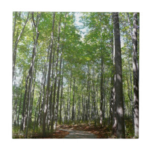 Azulejo De Cerâmica Centennial Wooded Path II Ellicott City Maryland