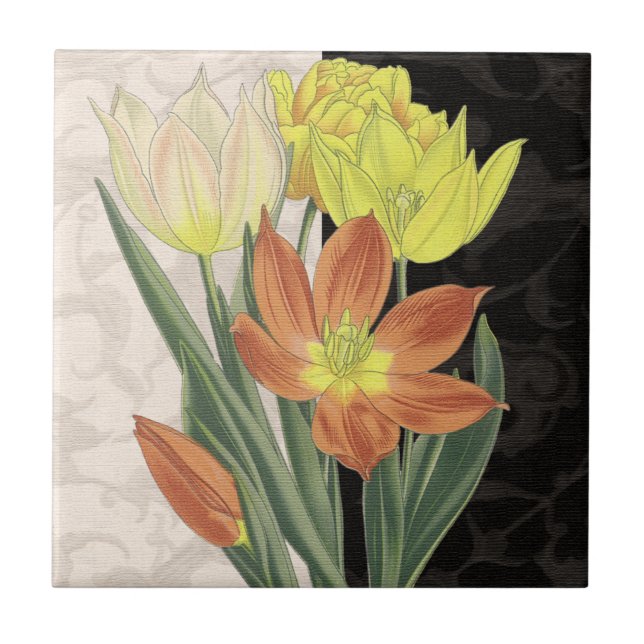 Azulejo De Cerâmica Centerape II (Frente)