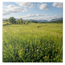 Azulejo De Cerâmica Ceramic Tile