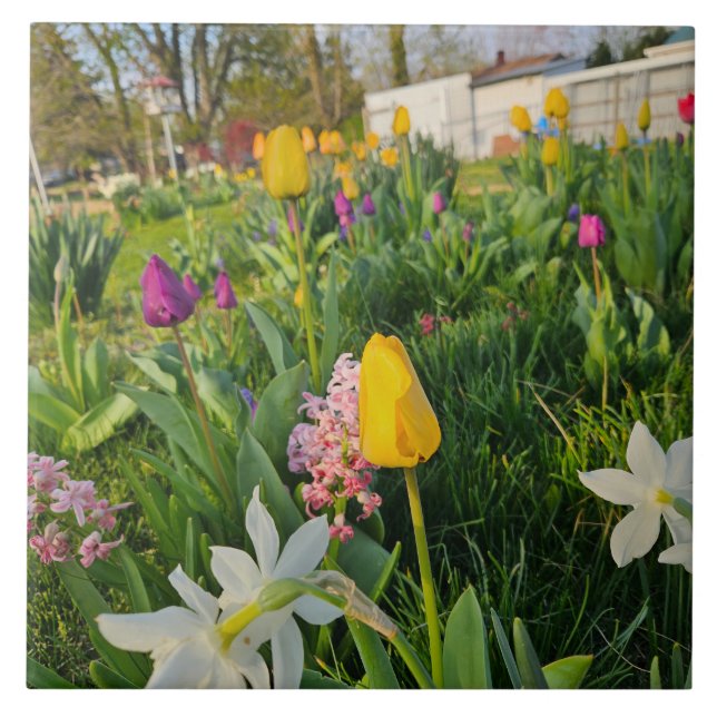 Azulejo De Cerâmica Ceramic Tile (Frente)