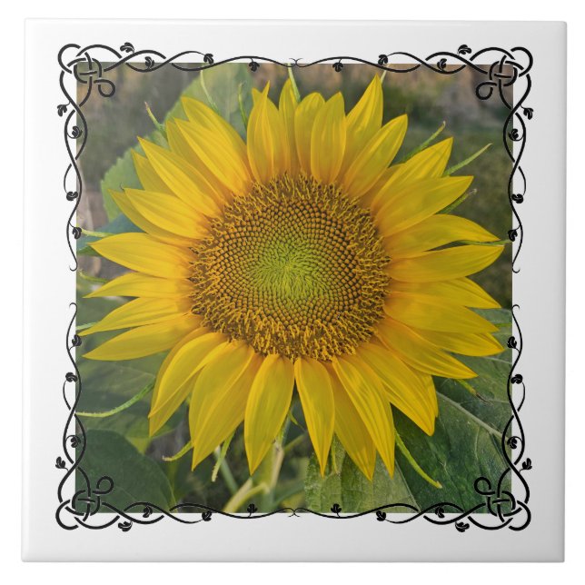 Azulejo De Cerâmica Ceramic Tile (Frente)