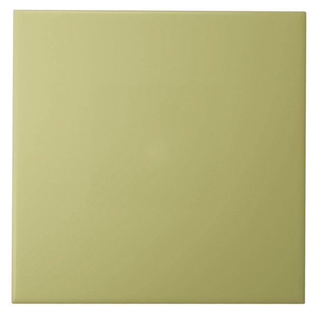 Azulejo De Cerâmica Ceramic Tile in Pastel Green (Frente)