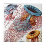 Azulejo De Cerâmica Cerâmica das medusa de Haeckel<br><div class="desc">As imagens originais são do 16as ao início do século XX.  Ilustrações coloridas raras e originais por artistas de velho em sua perseguição para descobrir a natureza. Esta imagem das medusa das "formas de arte de natureza" foi ilustrada por Ernst Haeckel,  1834-1919.</div>