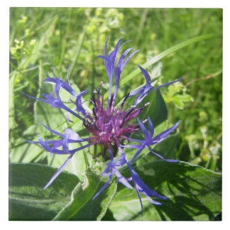 Azulejo De Cerâmica Cerâmica decoração mural, Flor azul