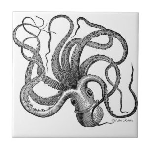 Azulejo De Cerâmica Cerâmica preto e branco do polvo