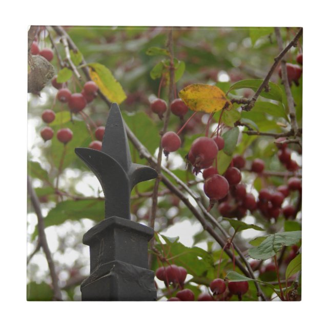 Azulejo De Cerâmica Cerca e maçaricos (Frente)
