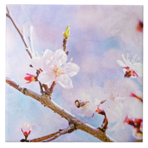 Azulejo De Cerâmica Cereja Japonesa - Sakura em Bloom