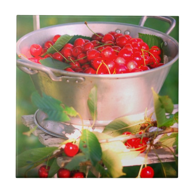 Azulejo De Cerâmica Cereja, Jardim de Algodão Rosalinde (Frente)