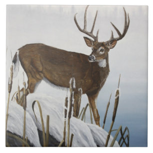 Azulejo De Cerâmica Cervos de Whitetail