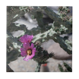 Azulejo De Cerâmica Challa Cactus em flor