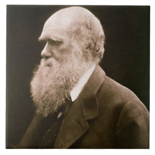 Azulejo De Cerâmica Charles Darwin (1809-82) (foto)