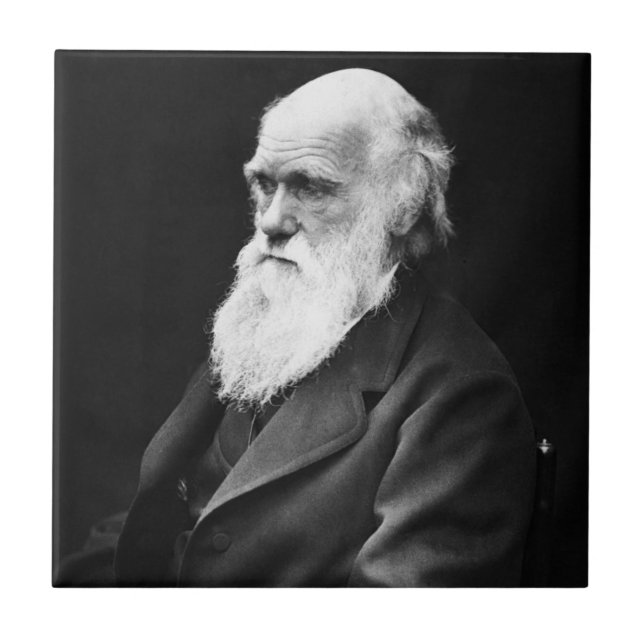 Azulejo De Cerâmica Charles Darwin Portrait (Frente)