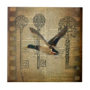 Azulejo De Cerâmica chaves de esqueleto rústicas patos-reais do país o
