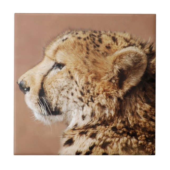 Azulejo De Cerâmica Cheetah Prince (Frente)