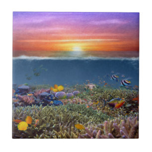 Azulejo De Cerâmica Chef de Coral Sunset