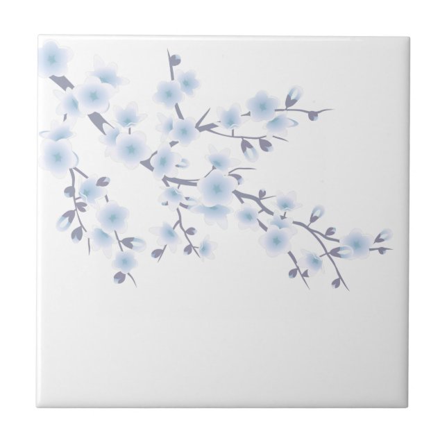 Azulejo De Cerâmica Cherry Blossom Sky Blue Floral (Frente)