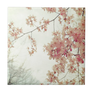 Azulejo De Cerâmica Cherry Blossoms