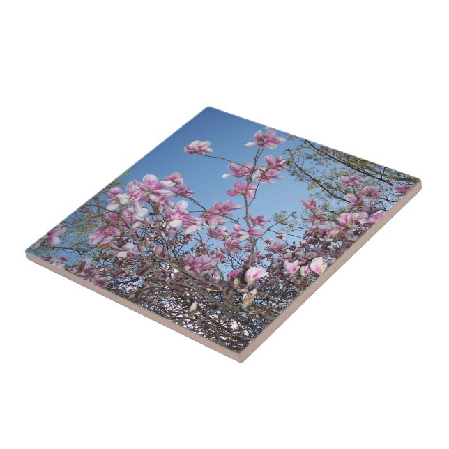 Azulejo De Cerâmica Cherry Blossoms (Lateral)