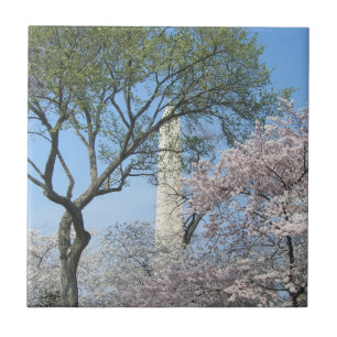 Azulejo De Cerâmica Cherry Blossoms e o Monumento de Washington em DC