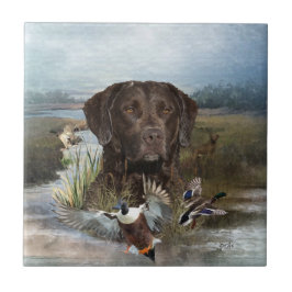 Azulejo De Cerâmica Chesapeake Bay Retriever, Arte