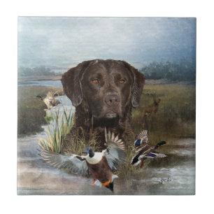 Azulejo De Cerâmica Chesapeake Bay Retriever, Arte