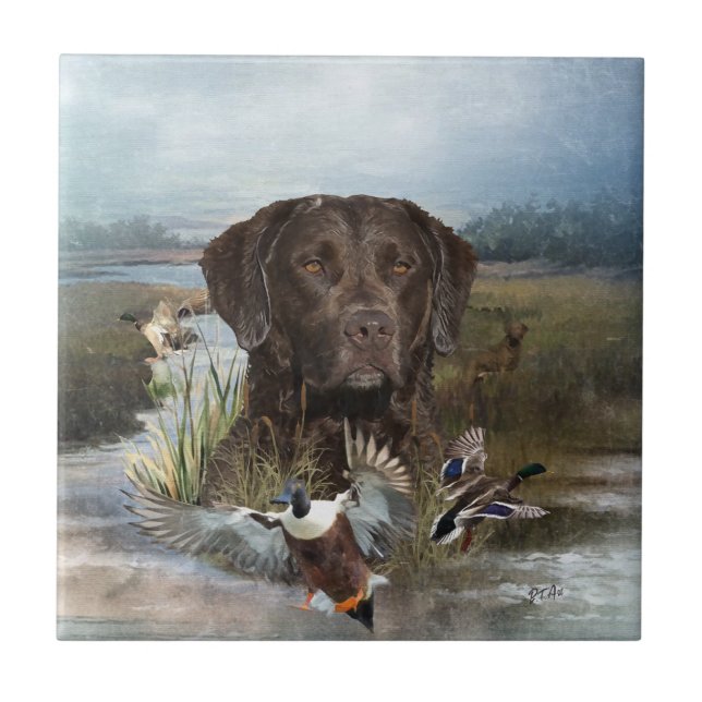 Azulejo De Cerâmica Chesapeake Bay Retriever, Arte (Frente)